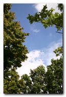 Baeume und Wolken 001 – Bild von spx (2007) Kurpark Oberlaa