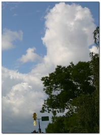 Baum Wolken (c) spx 2007