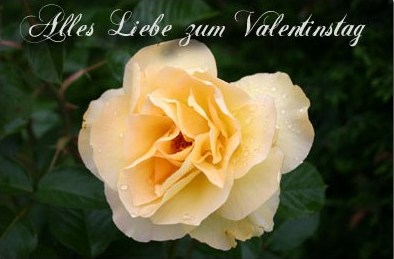 Valentinstag 2008 (spx)