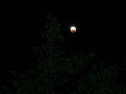 Mondfinsternis 160808_3 (spx)
